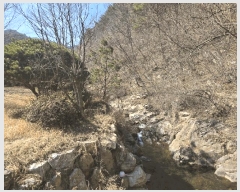  2025Ÿ��553 �泲 �ϵ��� ������ ȸ�Ÿ� 735      ���ð��