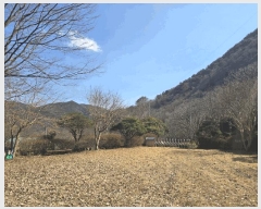  2025Ÿ��553 �泲 �ϵ��� ������ ȸ�Ÿ� 735      ���ð��