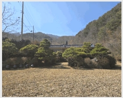  2025Ÿ��553 �泲 �ϵ��� ������ ȸ�Ÿ� 735      ���ð��