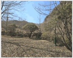  2025Ÿ��553 �泲 �ϵ��� ������ ȸ�Ÿ� 735      ���ð��