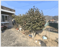  2025Ÿ568 泲 ر ﵿ ȭ 2448      ()