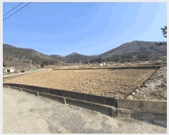  2025Ÿ568 泲 ر ﵿ ȭ 2448      ()