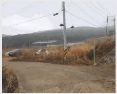  2025Ÿ��573 �泲 �ϵ��� �纸�� ������ 15      ����(��)���