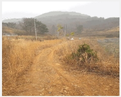  2025Ÿ��573 �泲 �ϵ��� �纸�� ������ 15      ����(��)���