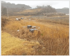  2025Ÿ��573 �泲 �ϵ��� �纸�� ������ 15      ����(��)���