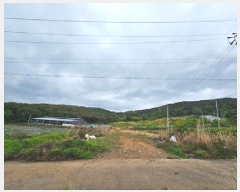  2025Ÿ��573 �泲 �ϵ��� �纸�� ������ 15      ����(��)���