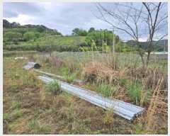  2025Ÿ��573 �泲 �ϵ��� �纸�� ������ 15      ����(��)���