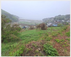  2025Ÿ��592  �����