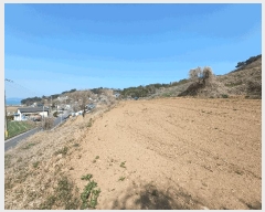  2025Ÿ��592  �����