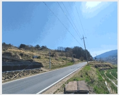  2025Ÿ��592  �����