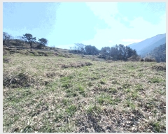  2025Ÿ��592  �����