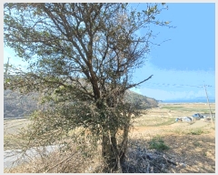  2025Ÿ��592  �����