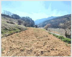  2025Ÿ��592  �����