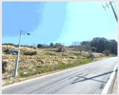  2025Ÿ��592  �����