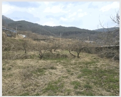  2025Ÿ��599  ����