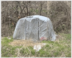  2025Ÿ��599  ����