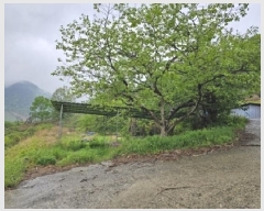  2025Ÿ��599  ����