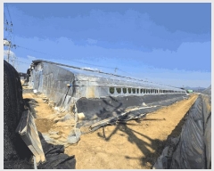  2025Ÿ��610 �泲 ���ֽ� �ݻ�� ��õ�� 1033-1      ����(��)���