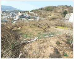  2025Ÿ��615  �ٸ����ð��