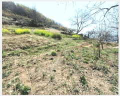  2025Ÿ��615  �ٸ����ð��