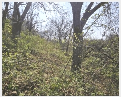  2025Ÿ��620 �泲 ��õ�� ��õ�� ���ϸ� 1372-1      �ܵ�����,�����ð��