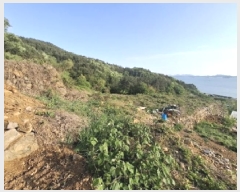  2025Ÿ��630 �泲 ���ر� ���� ���帮 5-2      ����(�Ӿ�)���