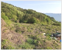  2025Ÿ��630 �泲 ���ر� ���� ���帮 5-2      ����(�Ӿ�)���