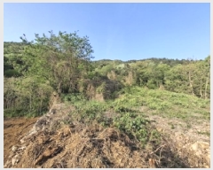  2025Ÿ��630 �泲 ���ر� ���� ���帮 5-2      ����(�Ӿ�)���