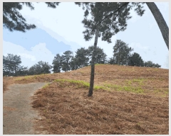  2025Ÿ��642  ���ð��