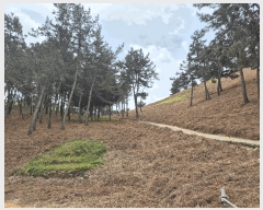  2025Ÿ��642  ���ð��