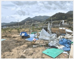  2025Ÿ��642  ���ð��