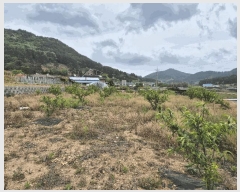  2025Ÿ��642  ���ð��