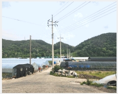  2025Ÿ��673  ����