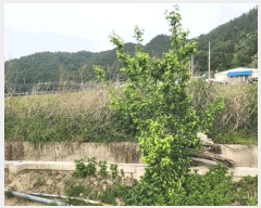  2025Ÿ��673  ����