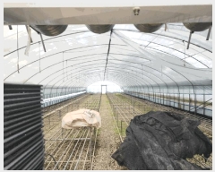  2025Ÿ��673  ����