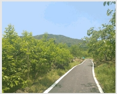  2025Ÿ��684 �泲 ��û�� �žȸ� �Ⱥ��� 518-1      ����(��)���