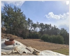  2025Ÿ��30136 �泲 ���ر� â���� ������ ��47-4      ����(�Ӿ�)���