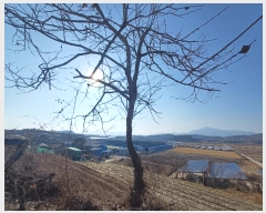  2025Ÿ��30181  �����