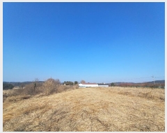  2025Ÿ��30181  �����