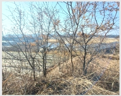  2025Ÿ��30181  �����