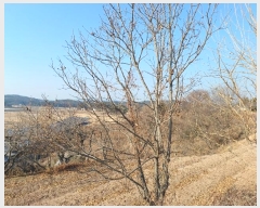  2025Ÿ��30181  �����