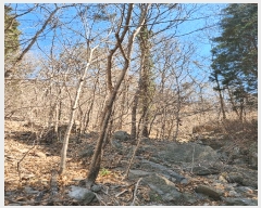  2025Ÿ30604 泲 õ Ǿȵ 235       (Ӿ)