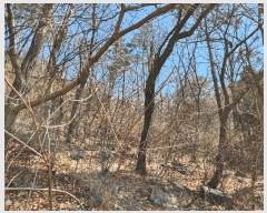  2025Ÿ30604 泲 õ Ǿȵ 235       (Ӿ)