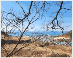  2025Ÿ30604 泲 õ Ǿȵ 235       (Ӿ)