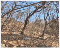  2025Ÿ30604 泲 õ Ǿȵ 235       (Ӿ)