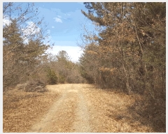  2025Ÿ��30615  �Ӿ߰��