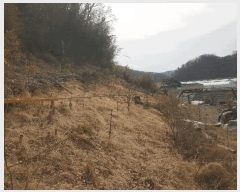  2025Ÿ��30615 �泲 ��õ�� ���� ������ 217      ����(��)���