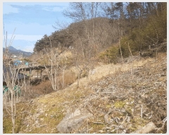  2025Ÿ��30615 �泲 ��õ�� ���� ������ 217      ����(��)���