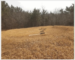  2025Ÿ��30615 �泲 ��õ�� ���� ������ 217      ����(��)���