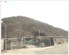  2025Ÿ��30615 �泲 ��õ�� ���� ������ 217      ����(��)���